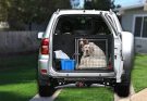 The Best Pet Transports in the Market